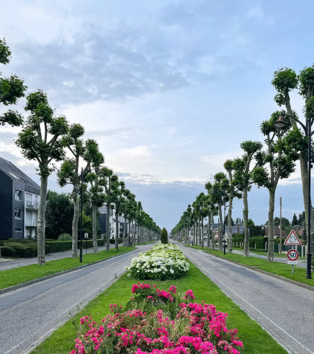 Elegant Living Spaces at Lentor Gardens Residences and Terra Hill
